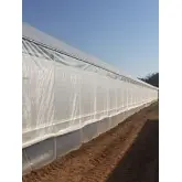 Plasa protectie contra insectelor 3350BT BIORETE 50 MESH