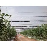 Plasa protectie contra insectelor 3350BT BIORETE 50 MESH
