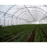 Plasa protectie contra insectelor 3353BT BIORETE 50 AIR PLUS