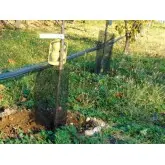 Plasa protectie pentru pomi 4200NE Rodistop