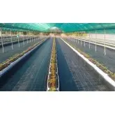 Agrotextil mulcire negru Agritela Nera, 3210NE 100 g/mp, 15X15 cm