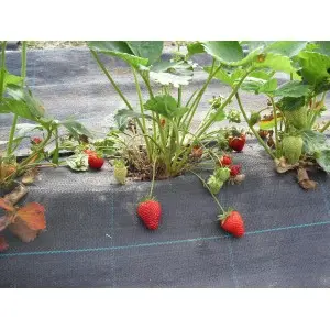 Agrotextil mulcire negru Agritela Nera, 3210NE 100 g/mp, 15X15 cm