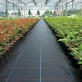 Agrotextil mulcire Agrolys BL100, negru 100 g/mp, 25x12.5 cm