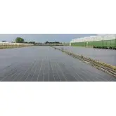 Agrotextil mulcire Agrolys BLWH120, alb-negru 120 g/mp