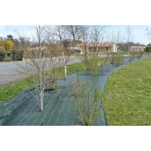 Agrotextil mulcire Agrolys GR100, verde 100 g/mp, L25