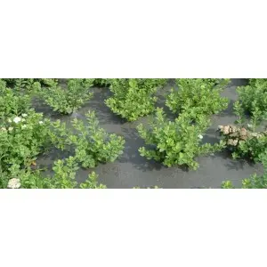 Agrotextil mulcire Okolys GR110, verde 110 g/mp, L25