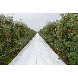 Agrotextil mulcire Lumilys WH110, alb 100 g/mp, L25