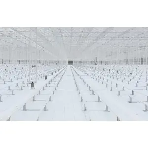 Agrotextil mulcire Agrolys WH100, ignifug 100 g/mp, L25 FR