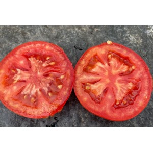Seminte tomate Paronema F1
