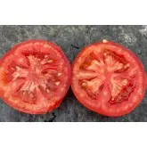 Seminte tomate Paronema F1