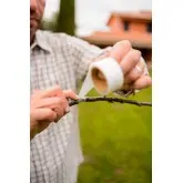 Banda pentru altoit Buddy Tape, 25 mm, fara perforatii