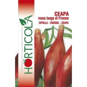 Seminte ceapa Rossa Lunga di Firenze Horticola