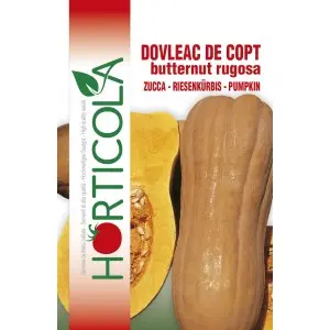 Seminte dovleac Butternut Rugosa Horticola
