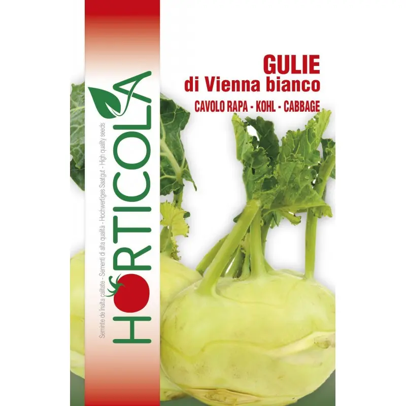 Seminte gulie Di Vienna Bianco Horticola
