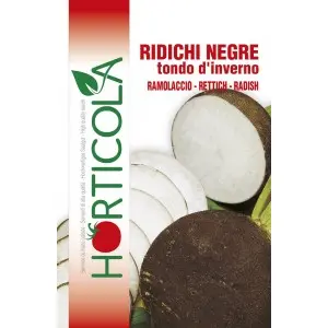 Seminte ridichi negre Nero Tondo D'inverno Horticola