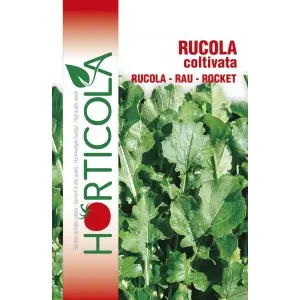 Seminte rucola Coltivata Horticola