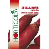 Seminte sfecla rosie Cylindra Horticola