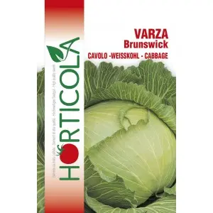 Seminte Varza alba Brunswick Horticola
