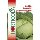 Seminte Varza alba Brunswick Horticola