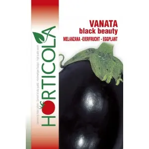 Seminte vinete Black Beauty Horticola