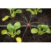 Ciuperca picurare ajustabila cu 8 orificii pentru Ø 13-16 mm, cu picior