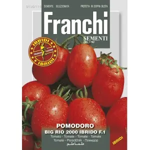 Seminte tomate Big Rio 2000 F1 Franchi Sementi Hibrid