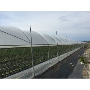 Folie solar Politiv PolyEco E2358 difuza, 120 microni
