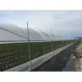 Folie solar Politiv PolyEco E2358 difuza, 120 microni