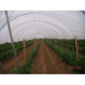 Folie solar Politiv PolyEco E2358 difuza, 120 microni