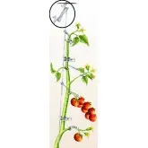 Carlig HD palisare si sustinere tomate, fara sfoara