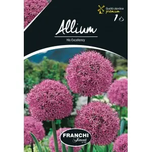 Bulbi allium His Exellency, 1 bulb