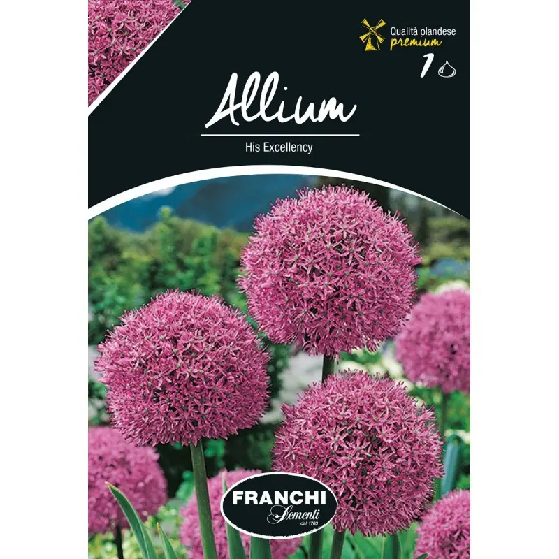 Bulbi allium His Exellency, 1 bulb