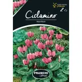 Bulbi ciclamen Hederifolium, 2 bulbi