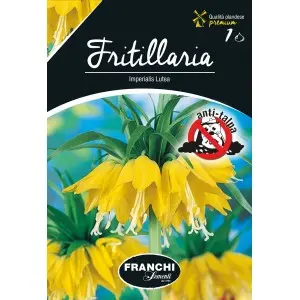 Bulbi fritillaria Imperialis Lutea, 1 bulb