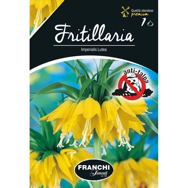 Bulbi fritillaria Imperialis Lutea, 1 bulb