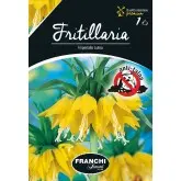 Bulbi fritillaria Imperialis Lutea, 1 bulb
