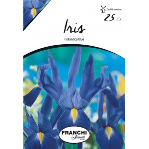 Bulbi iris Hollandica Blue, 25 bulbi
