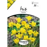 Bulbi iris Hollandica Danfordiae, 15 bulbi