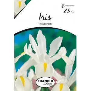 Bulbi iris Hollandica White, 25 bulbi