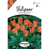 Bulbi lalele botanice Fosteriana Orange Emperor, 8 bulbi