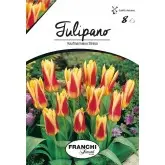 Bulbi lalele Botanice Kaumanniana Stresa, 8 bulbi