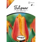 Bulbi lalele cu tija inalta Apeldoorn's Elite, 8 bulbi