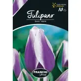 Bulbi lalele cu tija inalta Atlantis, 10 bulbi