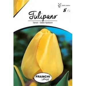Bulbi lalele cu tija inalta Golden Apeldoorn, 8 bulbi