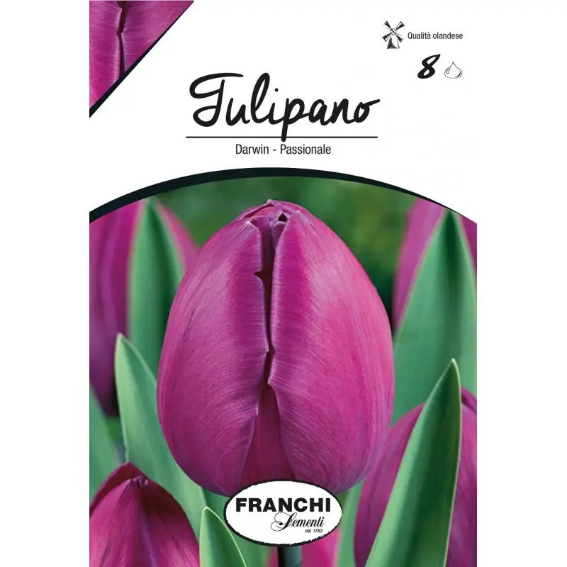 Bulbi lalele cu tija inalta Passionale, 8 bulbi