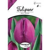 Bulbi lalele cu tija inalta Passionale, 8 bulbi