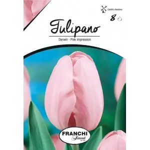 Bulbi lalele cu tija inalta Pink Impression, 8 bulbi