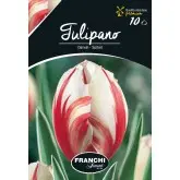 Bulbi lalele cu tija inalta Sorbet, 10 bulbi