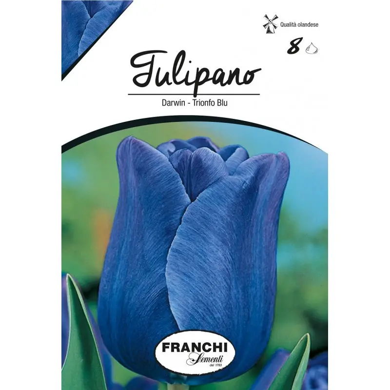 Bulbi lalele cu tija inalta Triumph Blu, 8 bulbi