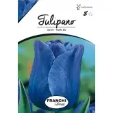 Bulbi lalele cu tija inalta Triumph Blu, 8 bulbi